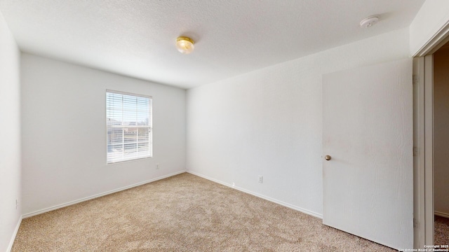 unfurnished room featuring light colored carpet and a textured ceiling