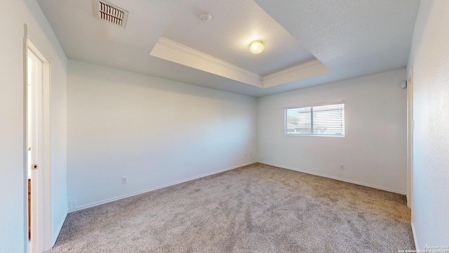 unfurnished room with crown molding, light colored carpet, a raised ceiling, and a textured ceiling