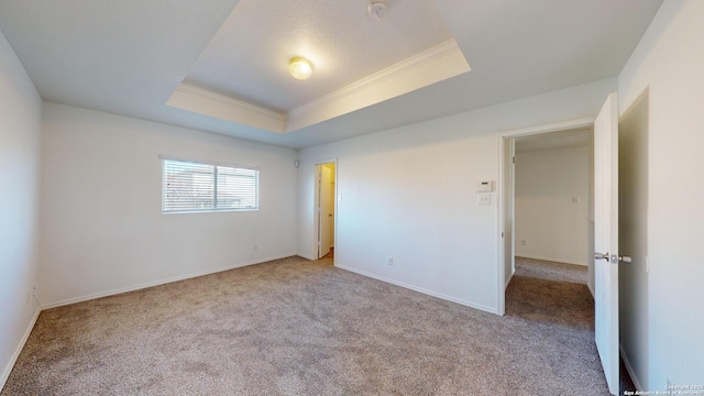 unfurnished bedroom with light carpet, ornamental molding, and a raised ceiling