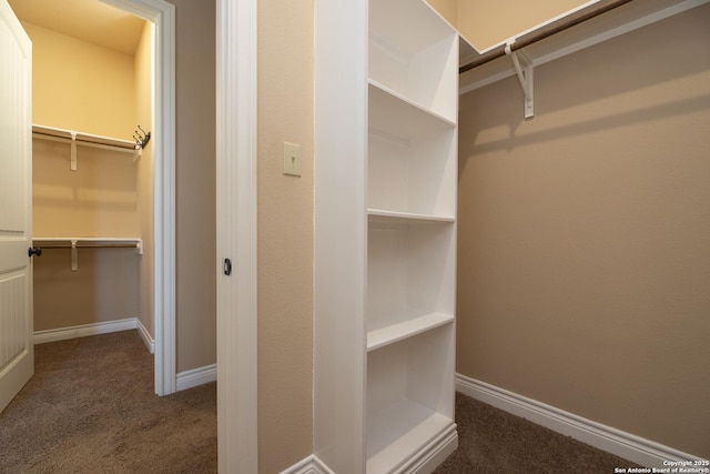 spacious closet featuring carpet