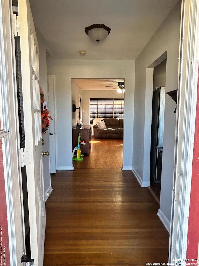 hallway featuring dark hardwood / wood-style floors