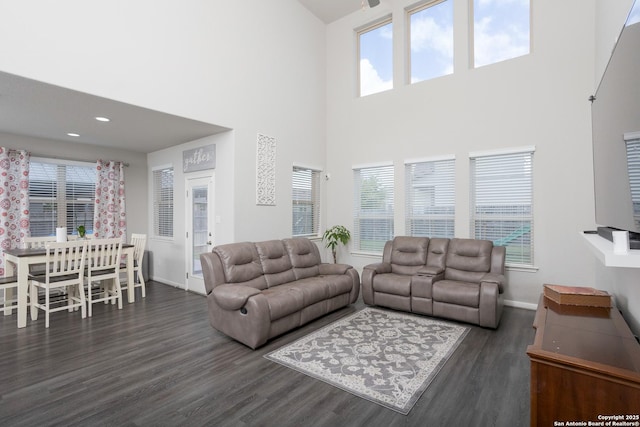 living room featuring dark hardwood / wood-style flooring