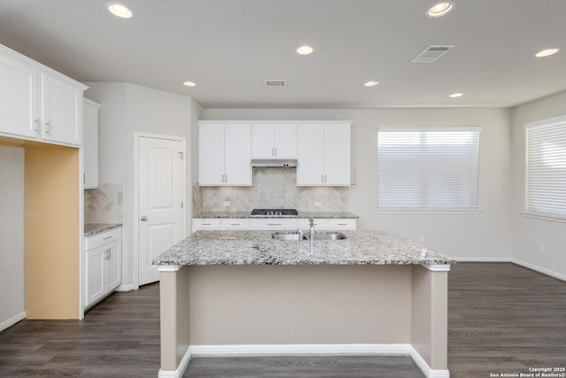 kitchen with white cabinetry, sink, light stone countertops, and an island with sink