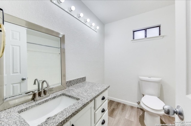 bathroom with vanity, wood-type flooring, and toilet