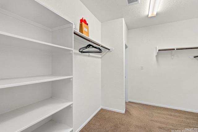 spacious closet with carpet