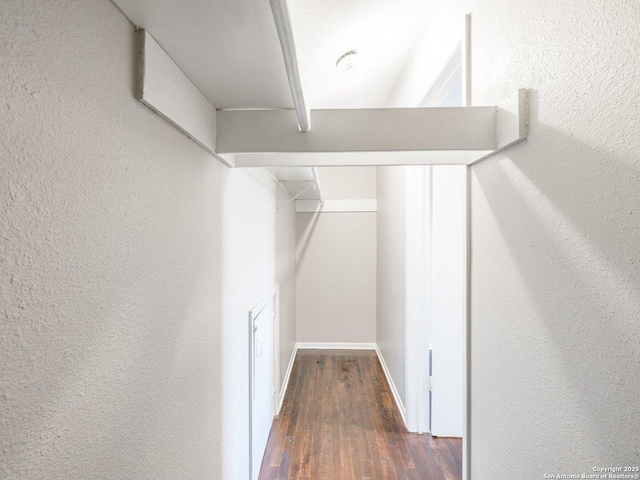 spacious closet featuring dark hardwood / wood-style flooring