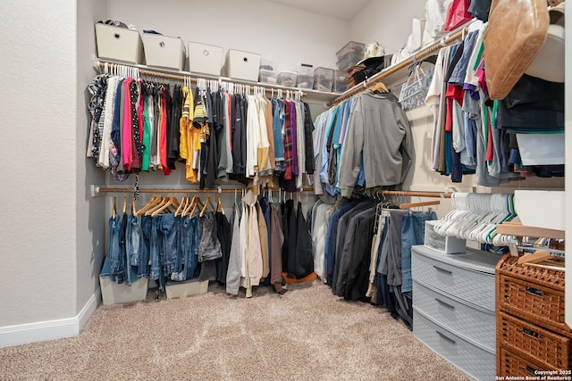 walk in closet with light colored carpet