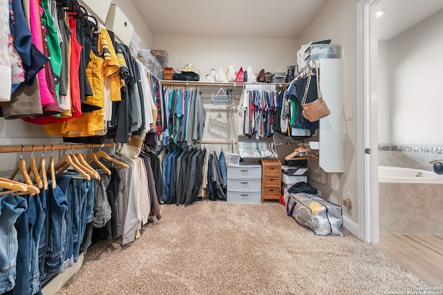 walk in closet with carpet flooring