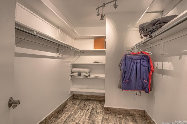 walk in closet featuring dark hardwood / wood-style flooring