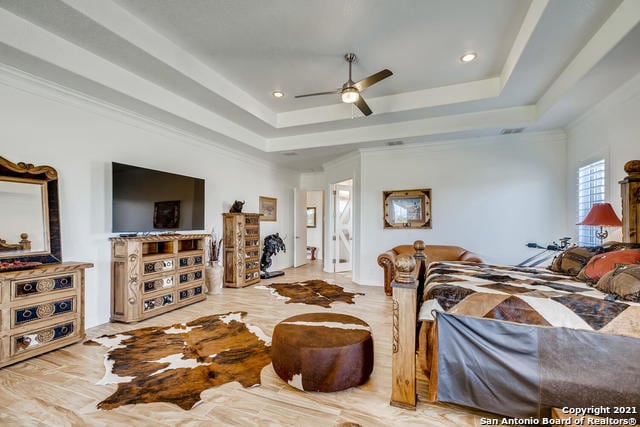 bedroom featuring ceiling fan and a tray ceiling