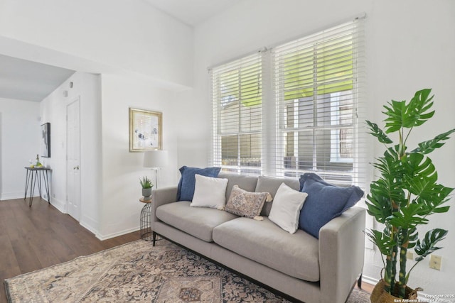 living room with wood-type flooring