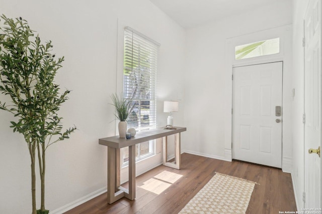 entrance foyer with dark wood-type flooring