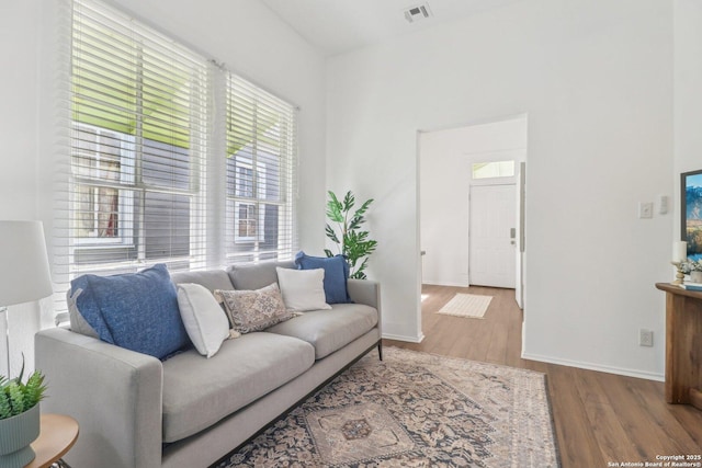 living room featuring hardwood / wood-style floors and a wealth of natural light