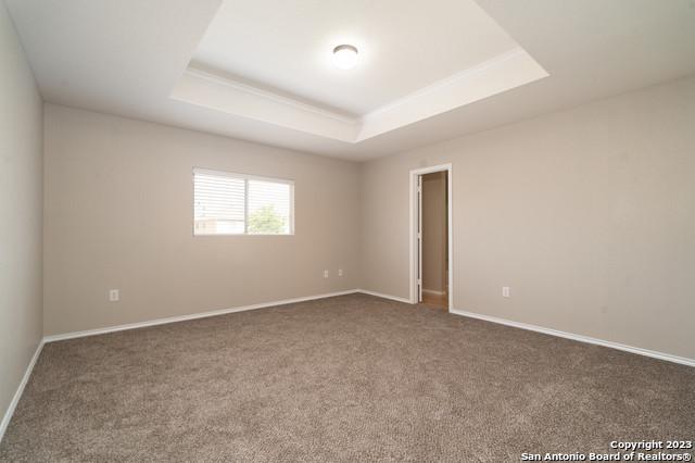 carpeted empty room with a raised ceiling