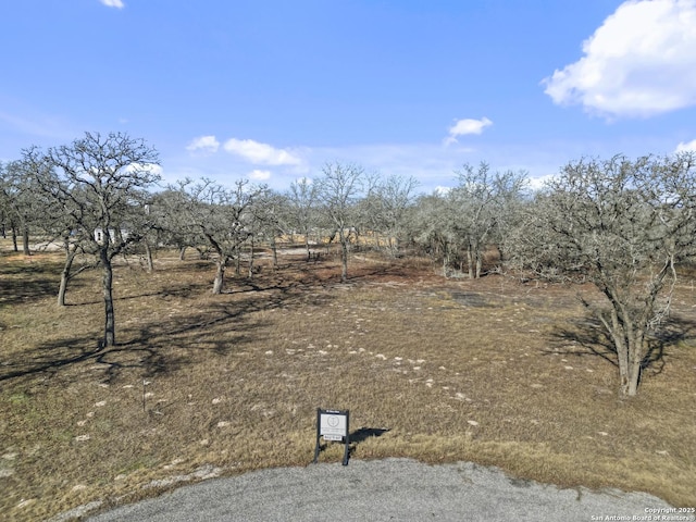 view of local wilderness with a rural view