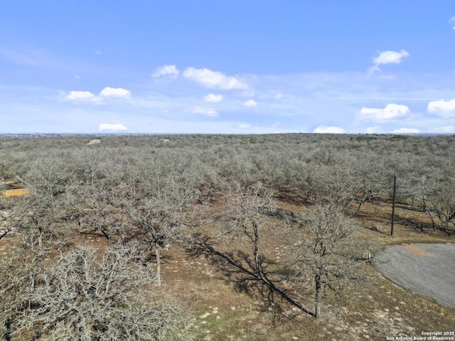 view of landscape with a rural view