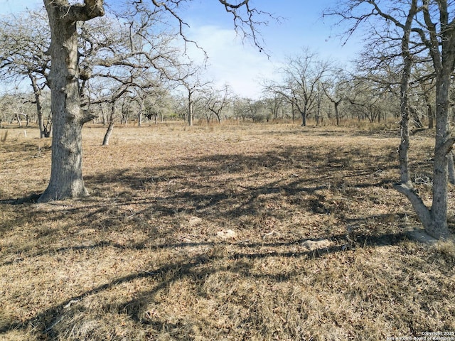 view of nature with a rural view