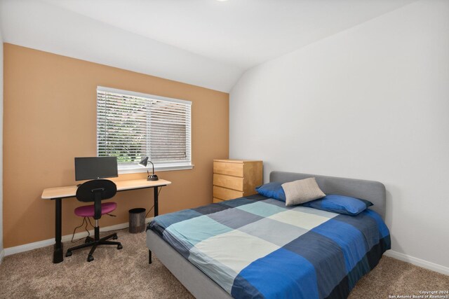 bedroom with lofted ceiling and carpet floors