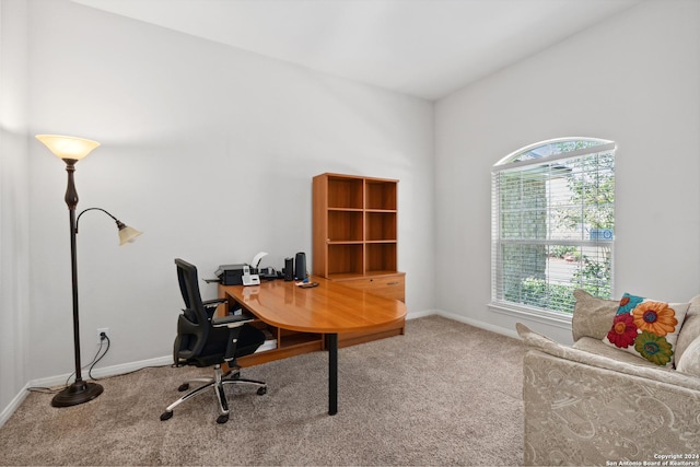 carpeted office space with a healthy amount of sunlight