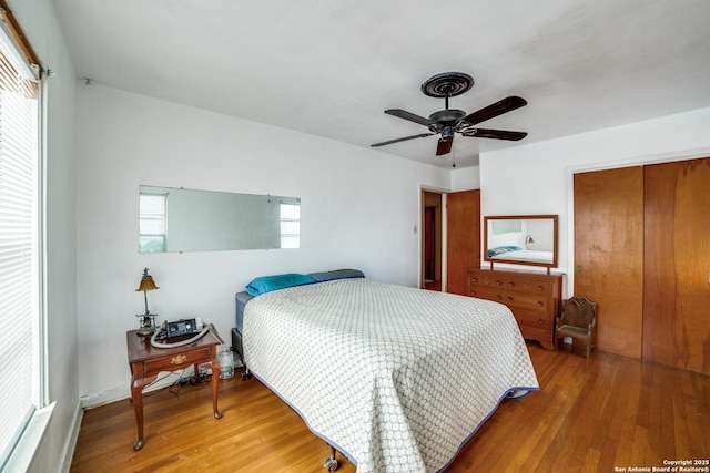 bedroom featuring a ceiling fan, a closet, multiple windows, and wood finished floors