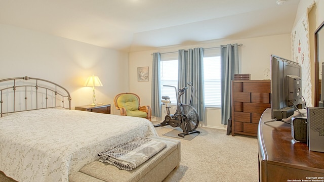 bedroom with light carpet