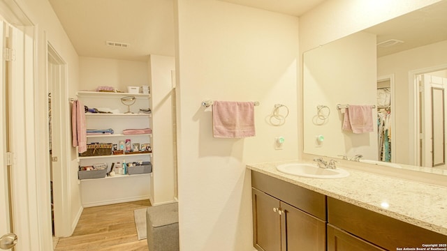 bathroom with wood-type flooring and vanity