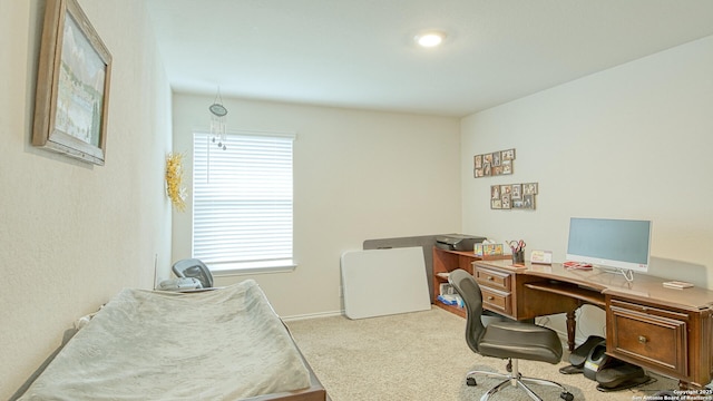 carpeted home office with a wealth of natural light