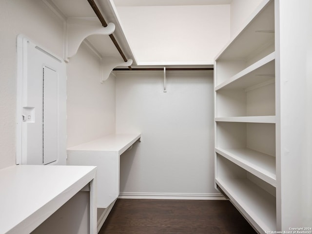 walk in closet featuring dark hardwood / wood-style floors