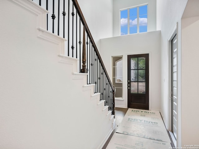 entrance foyer featuring plenty of natural light and a high ceiling