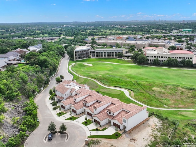 bird's eye view