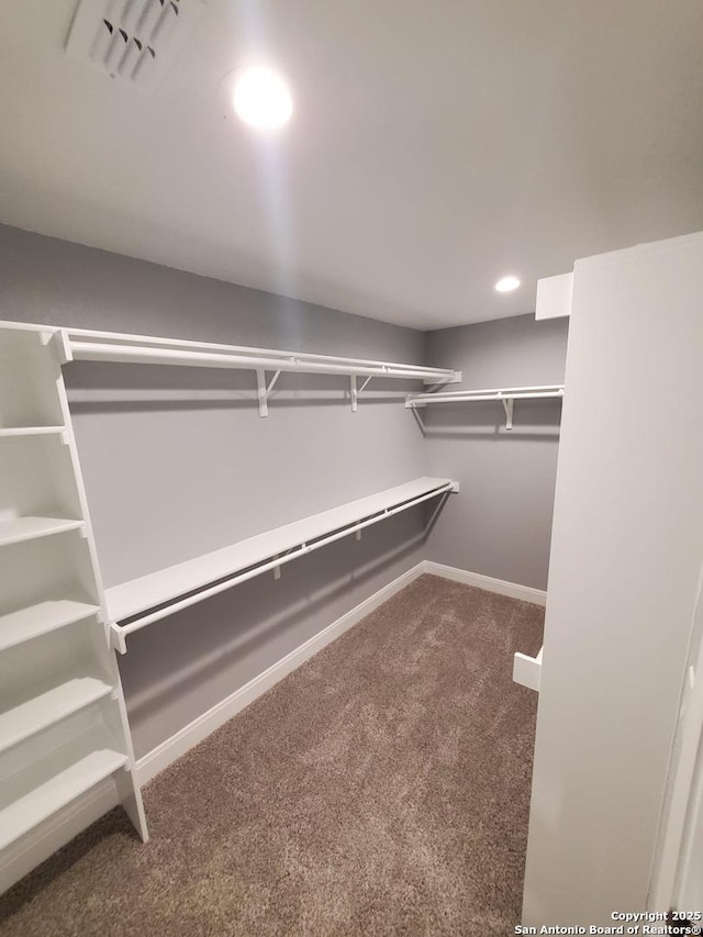 walk in closet featuring carpet floors