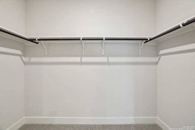 5712 Beths Way, San Antonio, TX 78253 - walk in closet with carpet floors