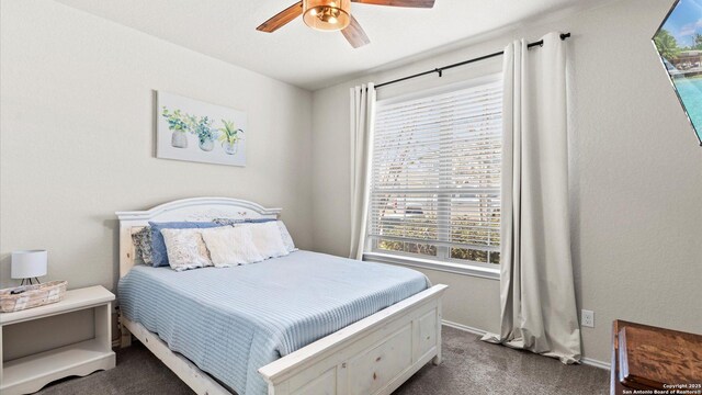 2437 Hiddenbrooke Trce, Seguin, TX 78155 - carpeted bedroom featuring ceiling fan