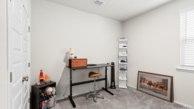 2437 Hiddenbrooke Trce, Seguin, TX 78155 - carpeted office featuring a wealth of natural light