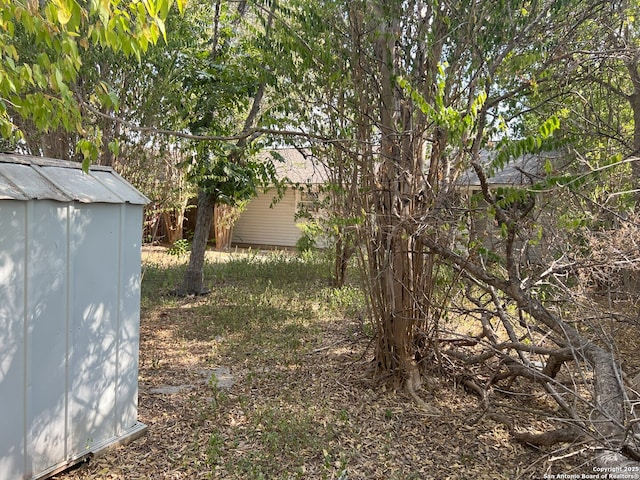 view of yard featuring a shed