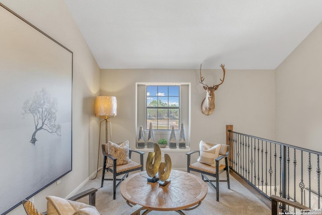 sitting room featuring carpet