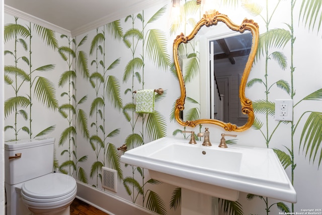 bathroom featuring ornamental molding, sink, and toilet