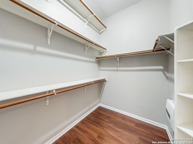 walk in closet featuring dark hardwood / wood-style flooring