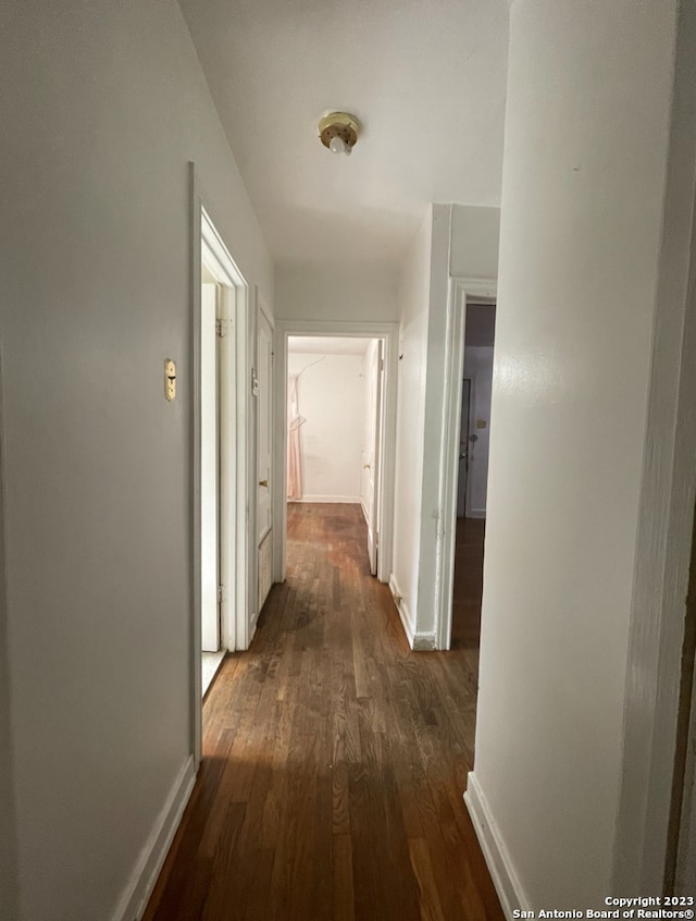 hall featuring dark wood-type flooring