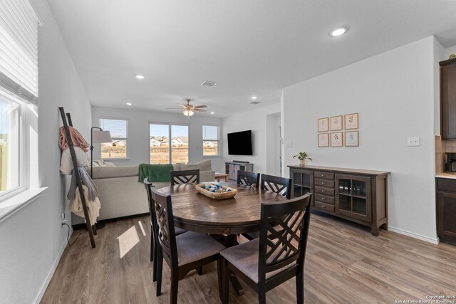 dining area with light hardwood / wood-style floors and ceiling fan