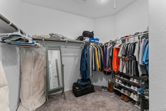 spacious closet featuring carpet floors