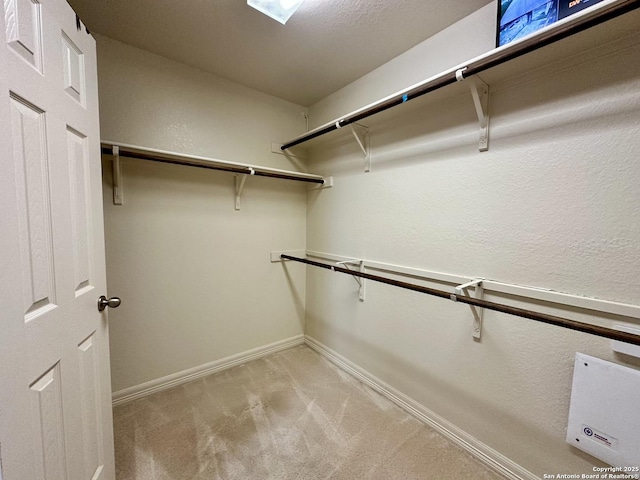 spacious closet featuring light colored carpet