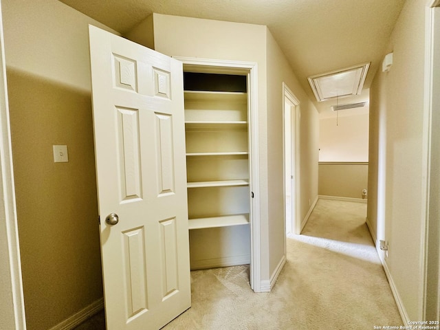 view of closet