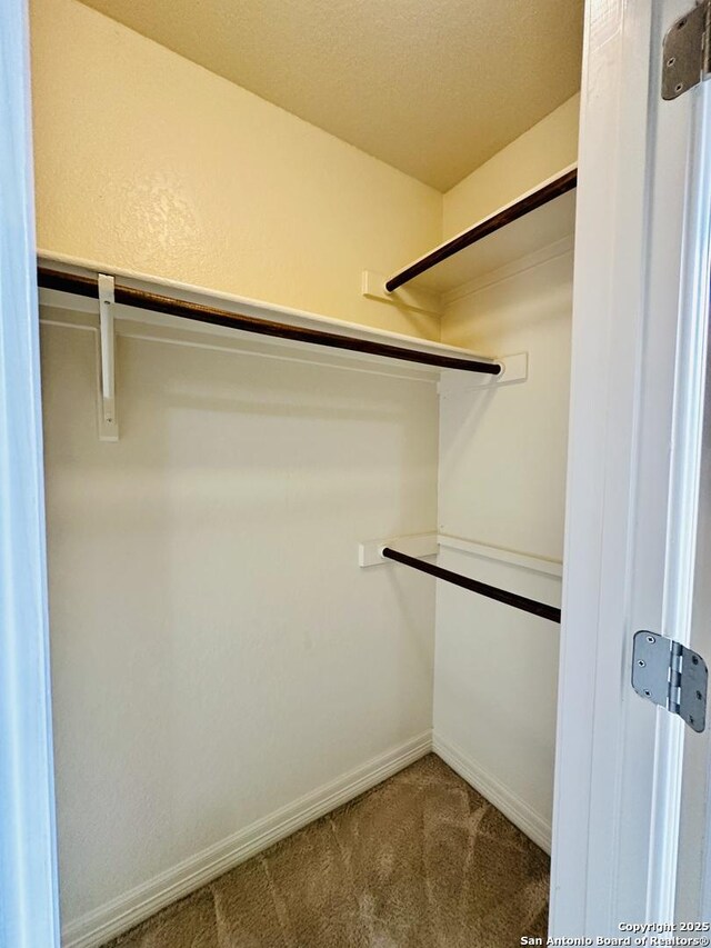 spacious closet featuring carpet flooring