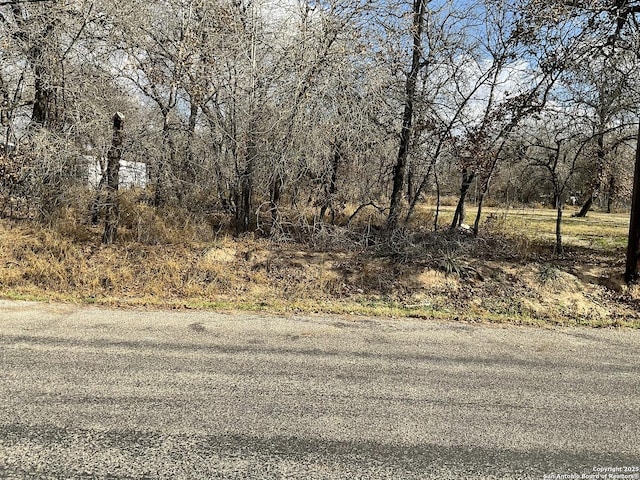 TBD Wild Root, San Antonio TX, 78264 land for sale