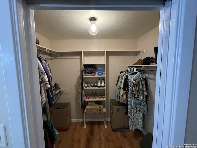 walk in closet featuring dark wood-type flooring