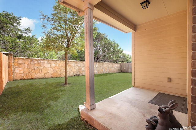 view of yard featuring a patio area