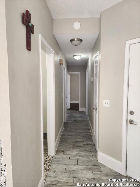 hall featuring wood-type flooring