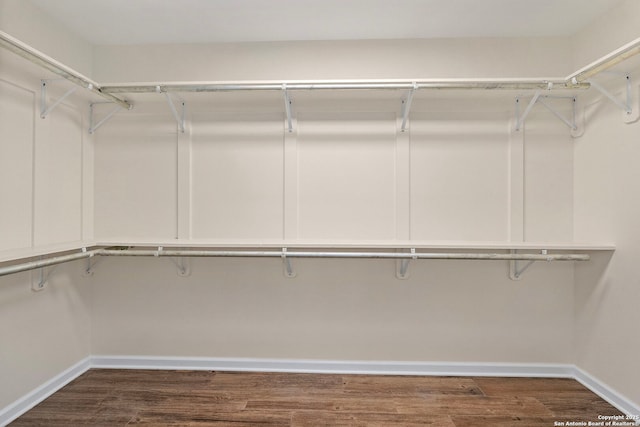 spacious closet featuring dark wood-type flooring