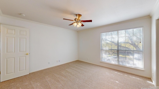 empty room with crown molding, ceiling fan, and light carpet